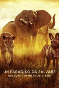 El paraíso que sobrevive: Un legado familiar [Spanish]